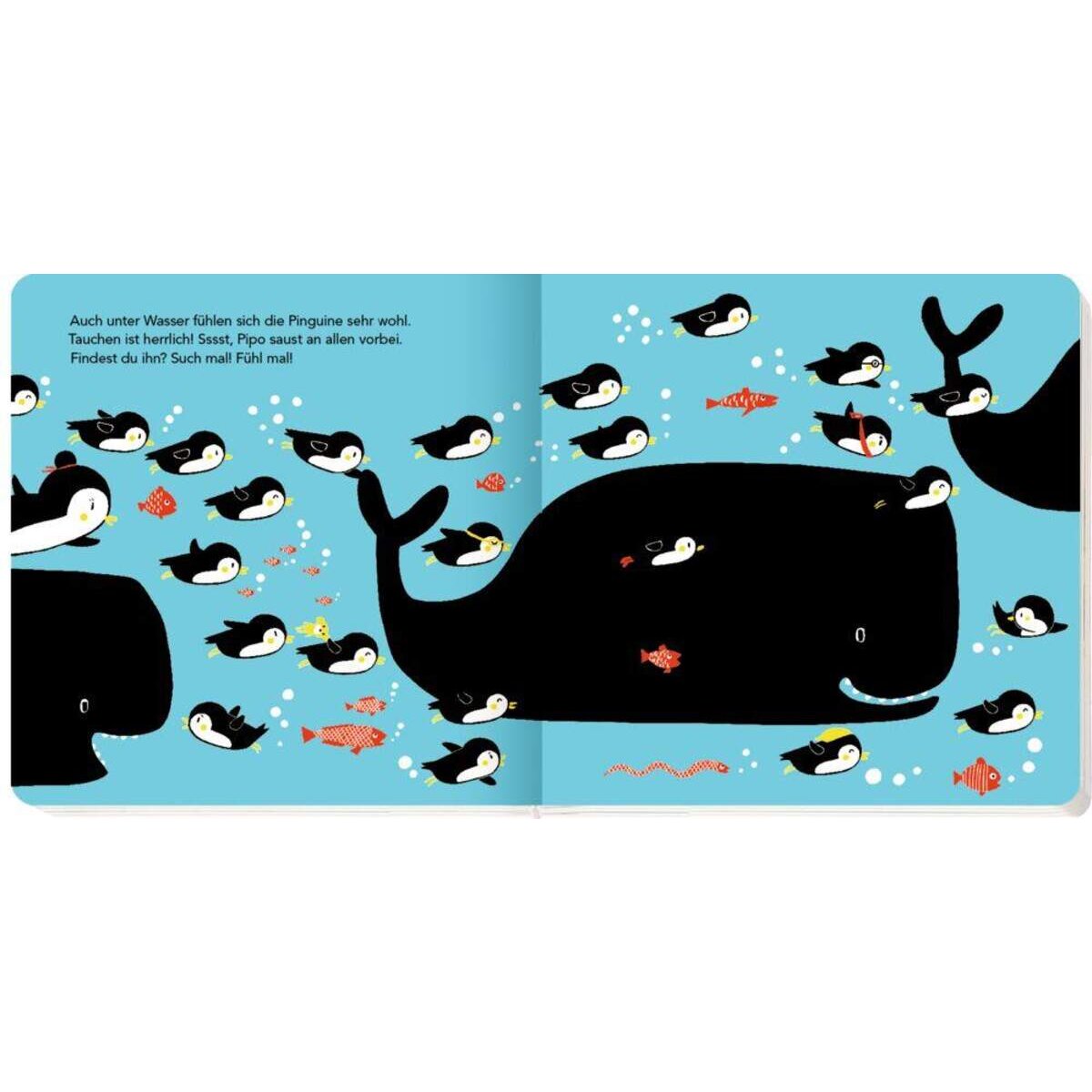 Coppenrath Verlag Fühl mal, such mal! Wo ist Pipo Pinguin?