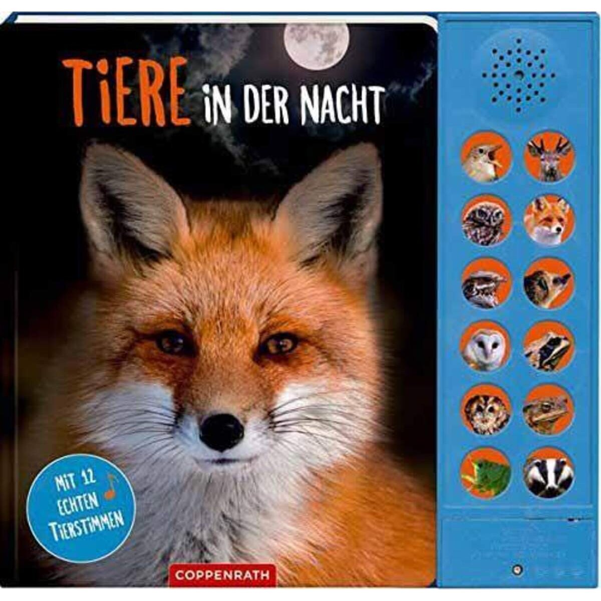 Coppenrath Verlag Tiere in der Nacht mit 12 echten Tierstimmen