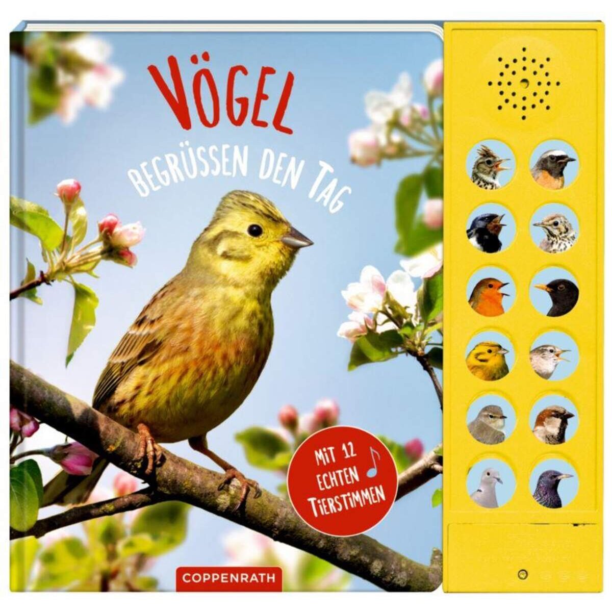 Coppenrath Verlag Vögel begrüßen den Tag - Mit 12 echten Tierstimmen Soundb.