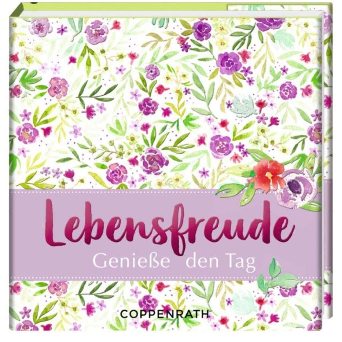 Die Spiegelburg BiblioPhilia: Lebensfreude - Genieße den Tag