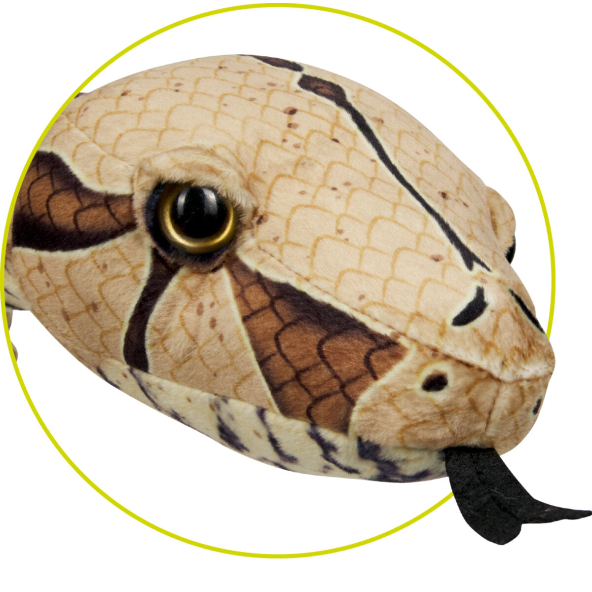 Die Spiegelburg Boa constrictor - Nature Zoom Wild