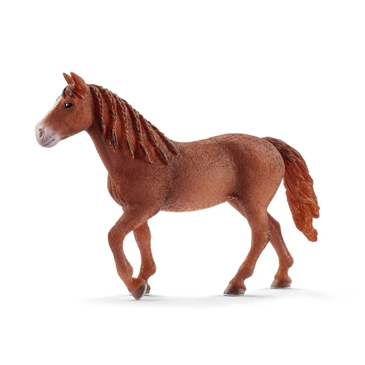 Schleich® 13870 Morgan Horse Stute
