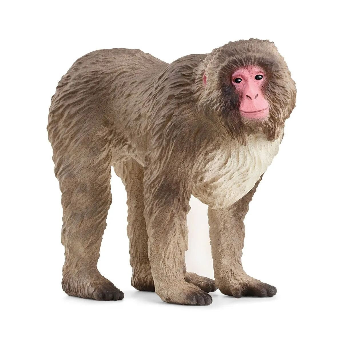 schleich-14871-wild-life--89132FC51.jpg