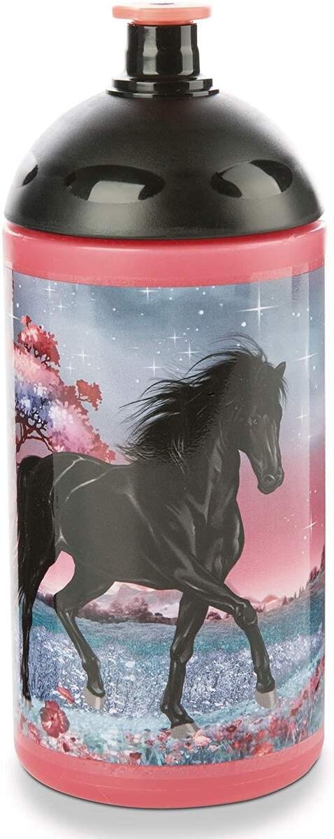 NICI Trinkflasche Soulmates 500ml