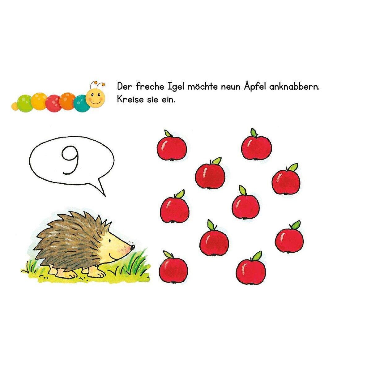 ars Edition Lernraupe Erste Zahlen