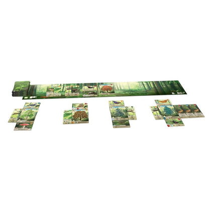 Asmodee Lookout Spiele Mischwald