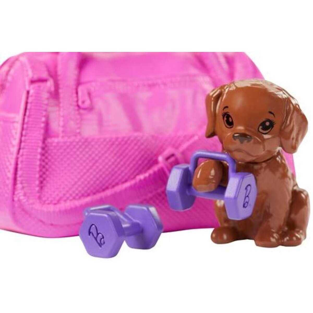 Barbie Wellness Fitness Puppe und Spielset