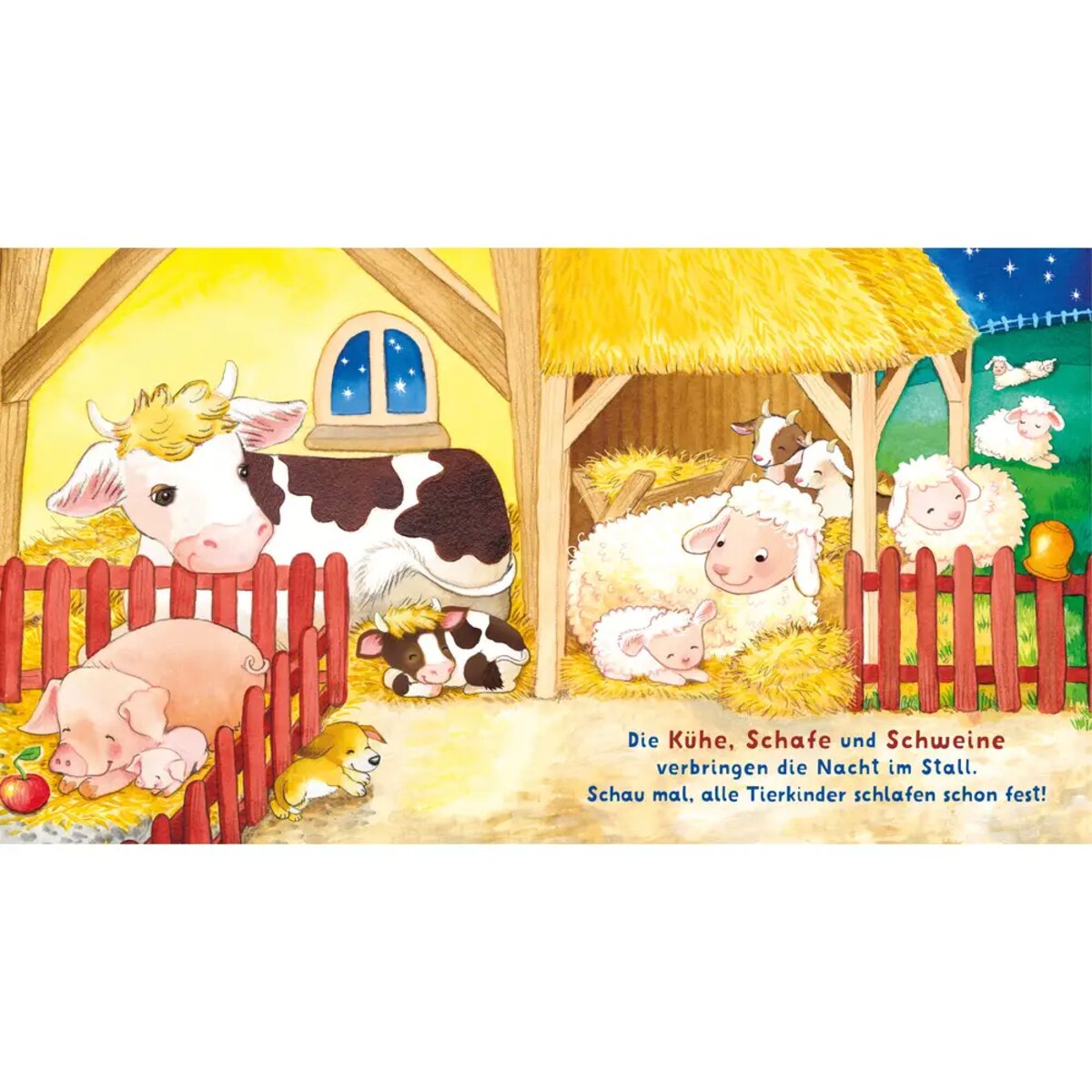 carlsen-verlag-baby-pixi-soft-55E1CCD52.jpg
