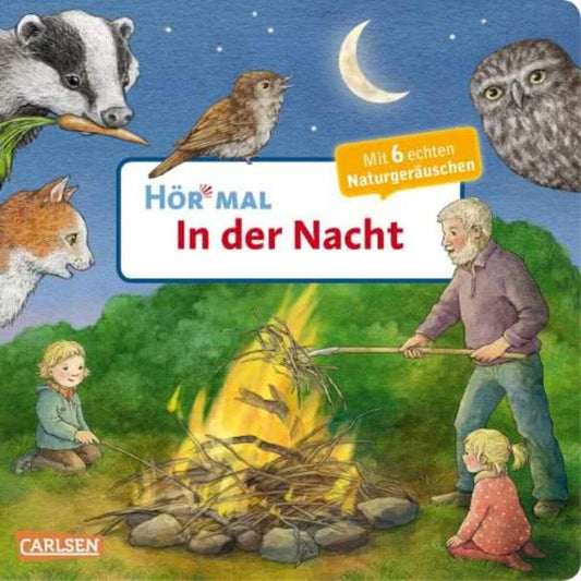 Carlsen Verlag Hör mal - In der Nacht, Soundbuch