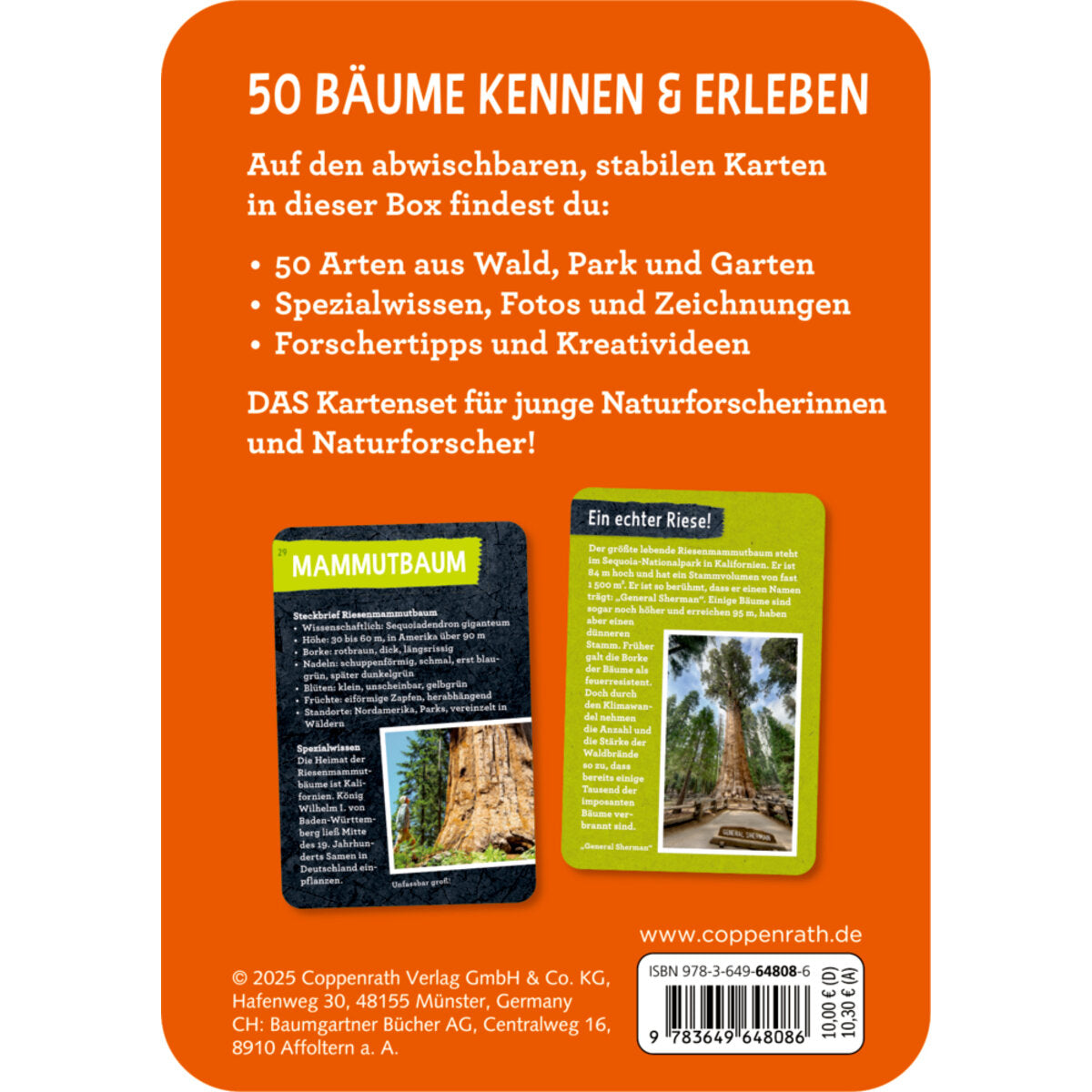 Coppenrath Verlag 50 Bäume kennen und erleben Nature Zoom Blechdose
