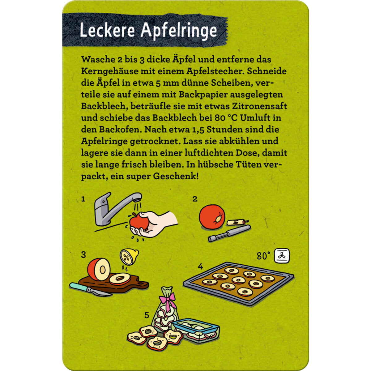 Coppenrath Verlag 50 Bäume kennen und erleben Nature Zoom Blechdose