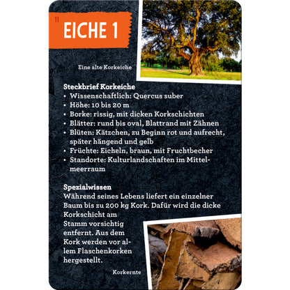 Coppenrath Verlag 50 Bäume kennen und erleben Nature Zoom Blechdose