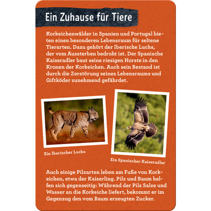 Coppenrath Verlag 50 Bäume kennen und erleben Nature Zoom Blechdose