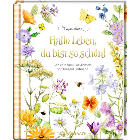 coppenrath-verlag-augenweide-hallo-leben-DBB89E291.jpg