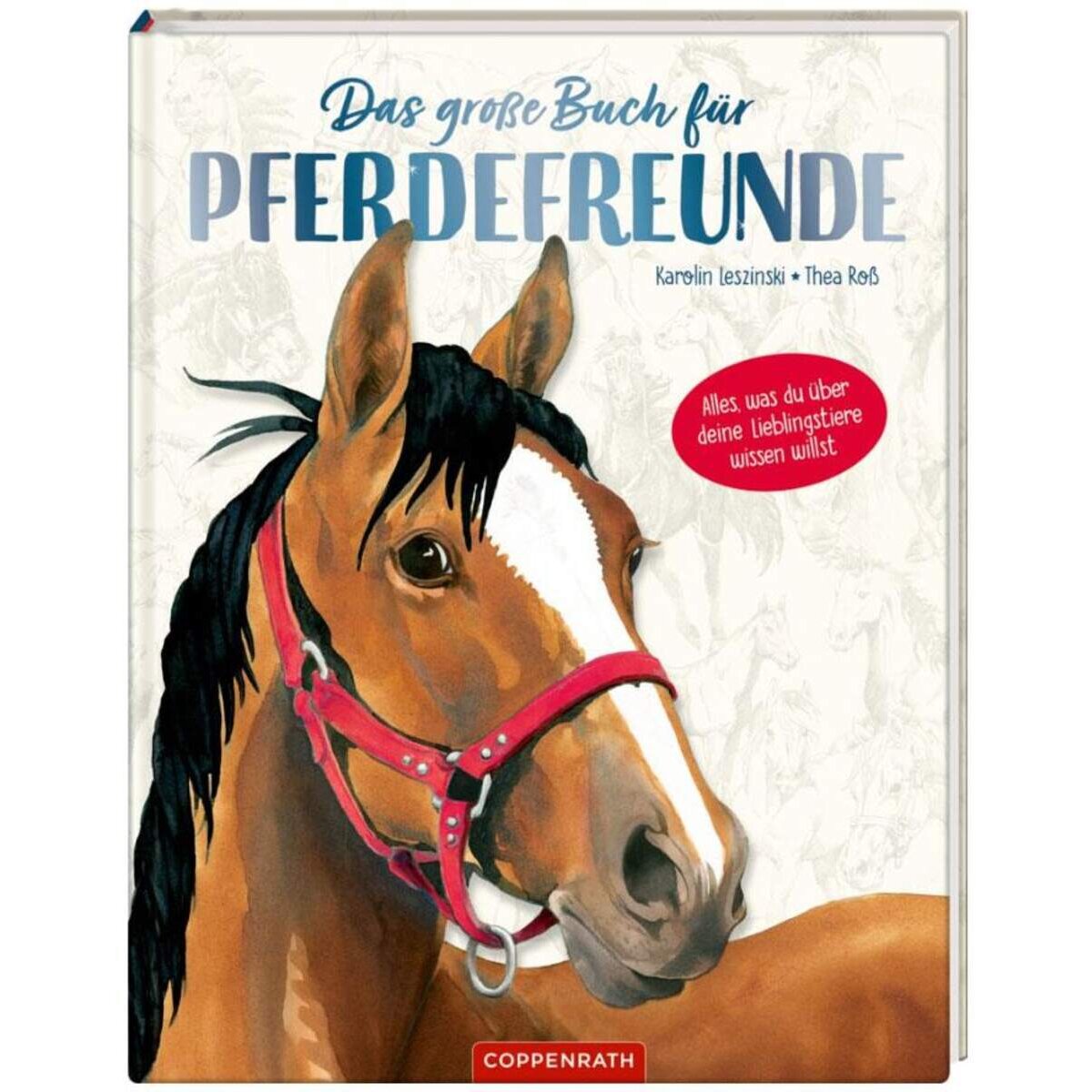 Coppenrath Verlag Das große Buch für Pferdefreunde