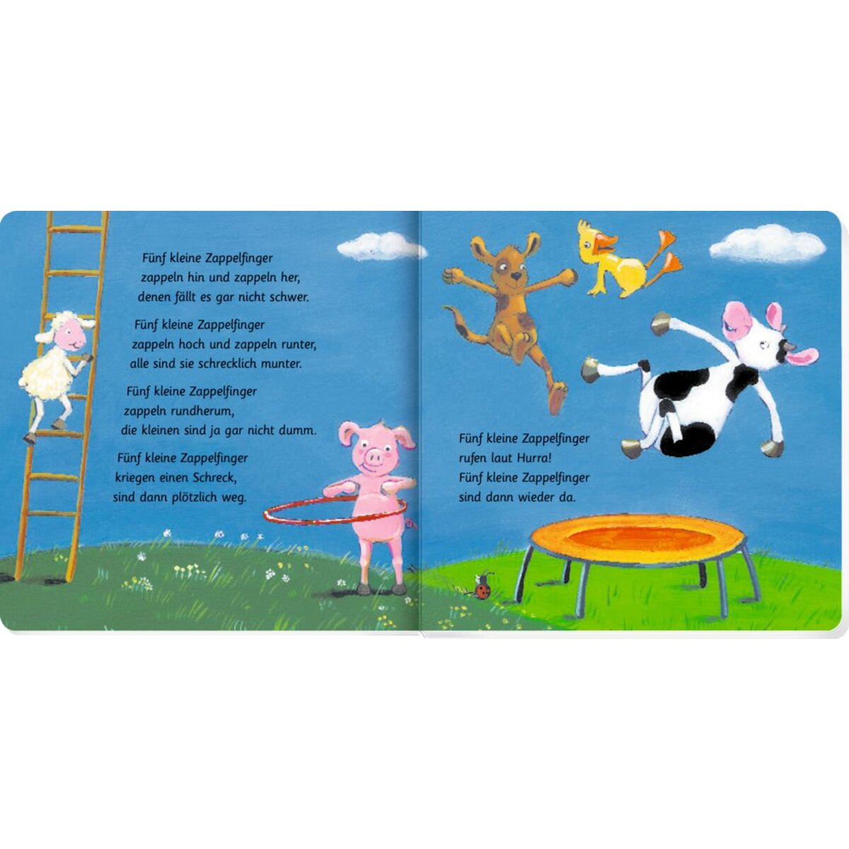 coppenrath-verlag-fingerpuppen-hand-set-B4C81B814.jpg
