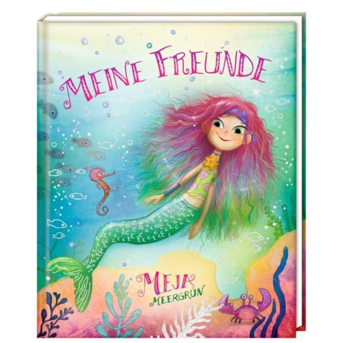 Coppenrath Verlag Freundebuch Meine Freunde Meja Meergrün