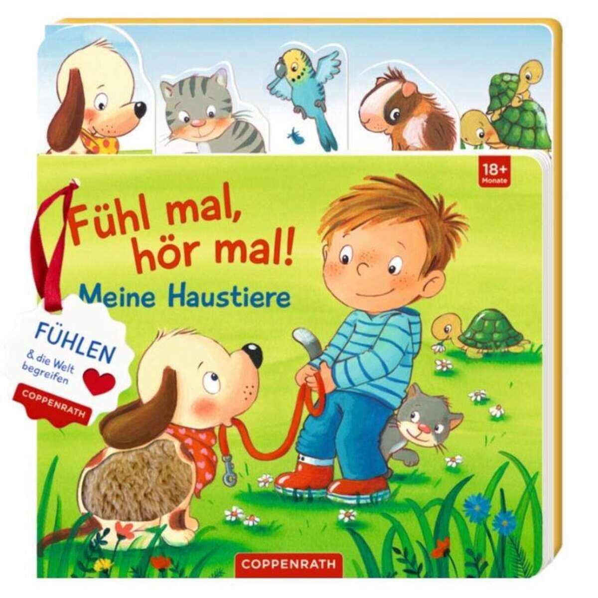 Coppenrath Verlag Fühl mal, hör mal! Haustiere (Fühlen&begreifen)
