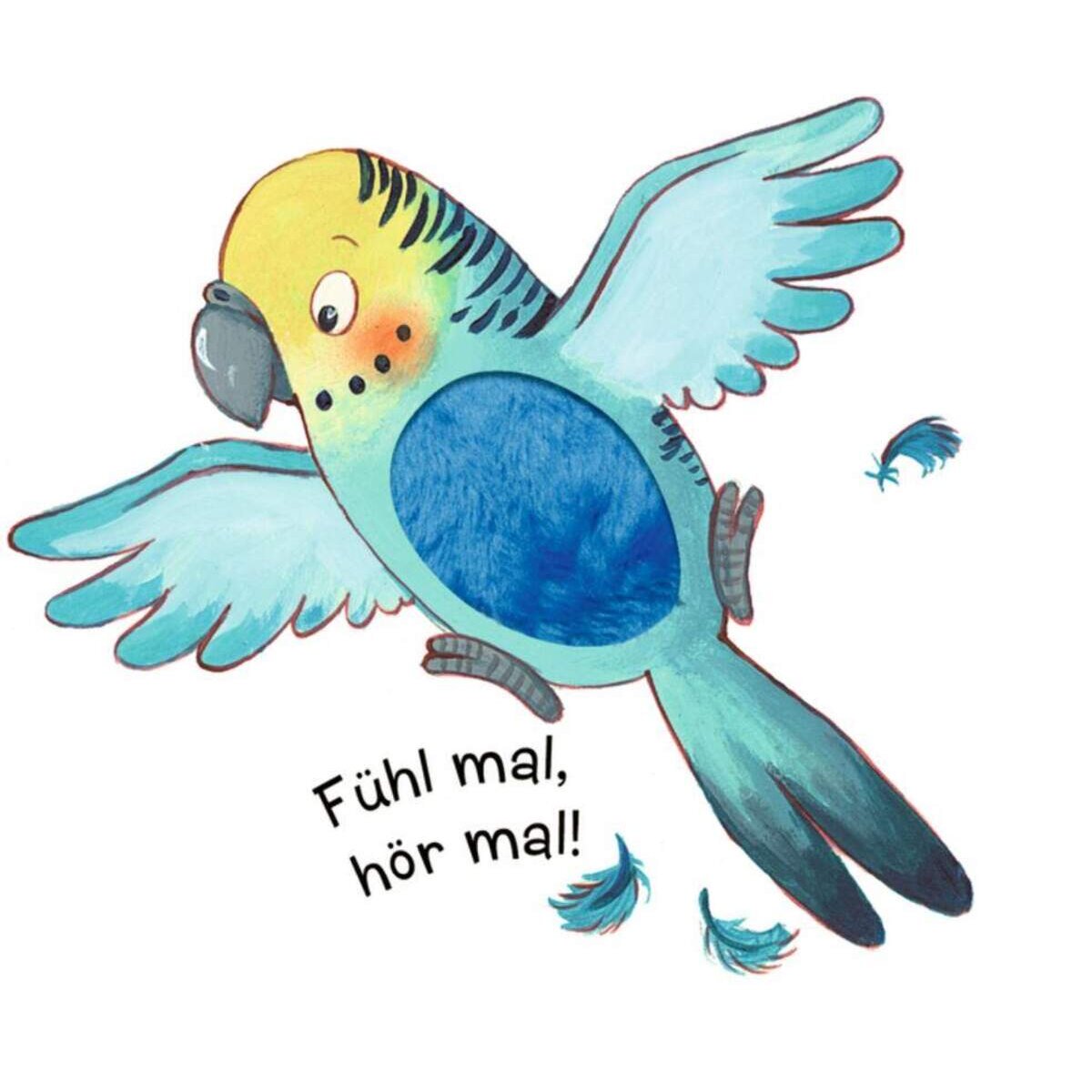 Coppenrath Verlag Fühl mal, hör mal! Haustiere (Fühlen&begreifen)