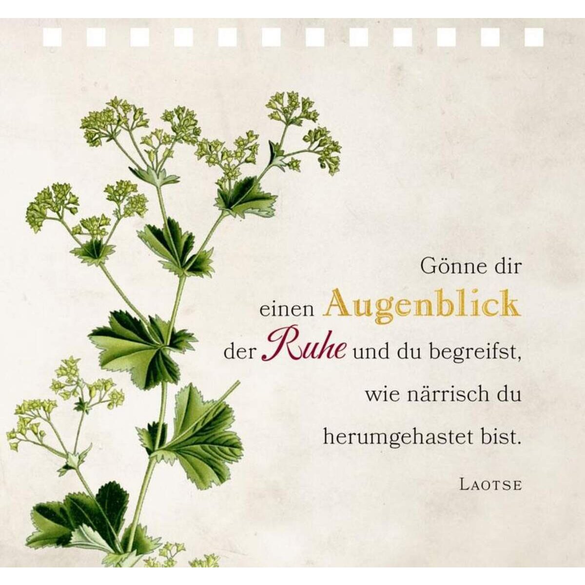 Coppenrath Verlag Gr.Spiralaufstellb.: Eine kl.Pause für jeden Tag (Augustina)