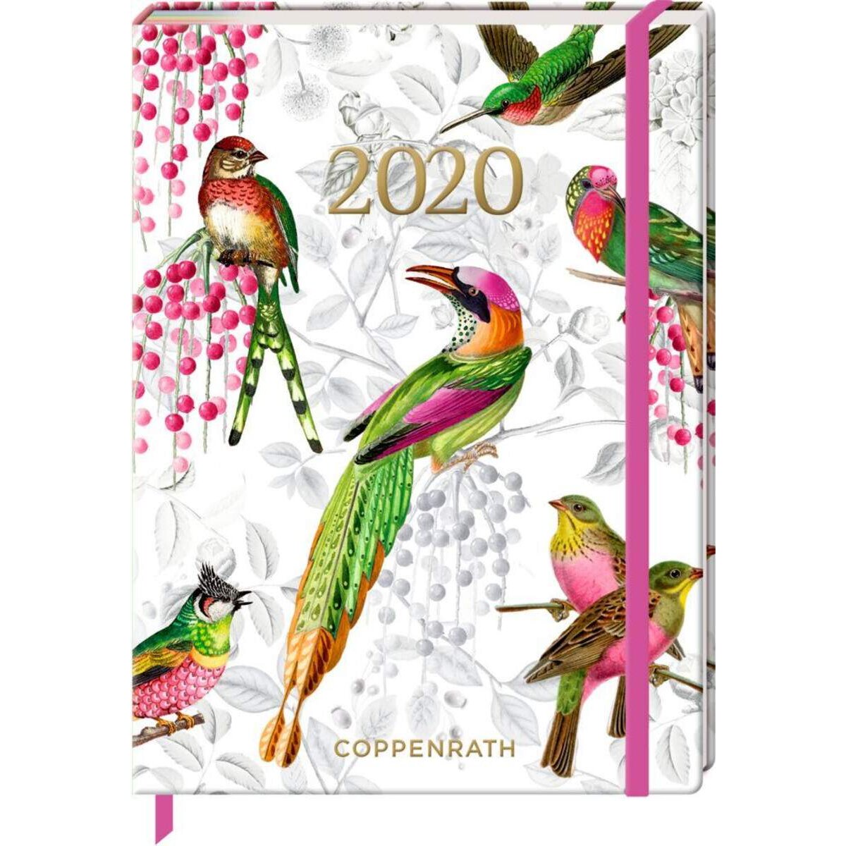 Coppenrath Verlag Jahreskalender: Mein Jahr 2020 (Bunte Vögel) Behr