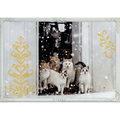 Coppenrath Verlag Katzen-Winterträume, Wand-Adventskalender A3