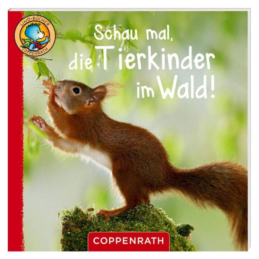 Coppenrath Verlag Lino-Buch 71 "Linos Tierkinder-Bildergeschichten", 1 Stück, 6-fach sortiert