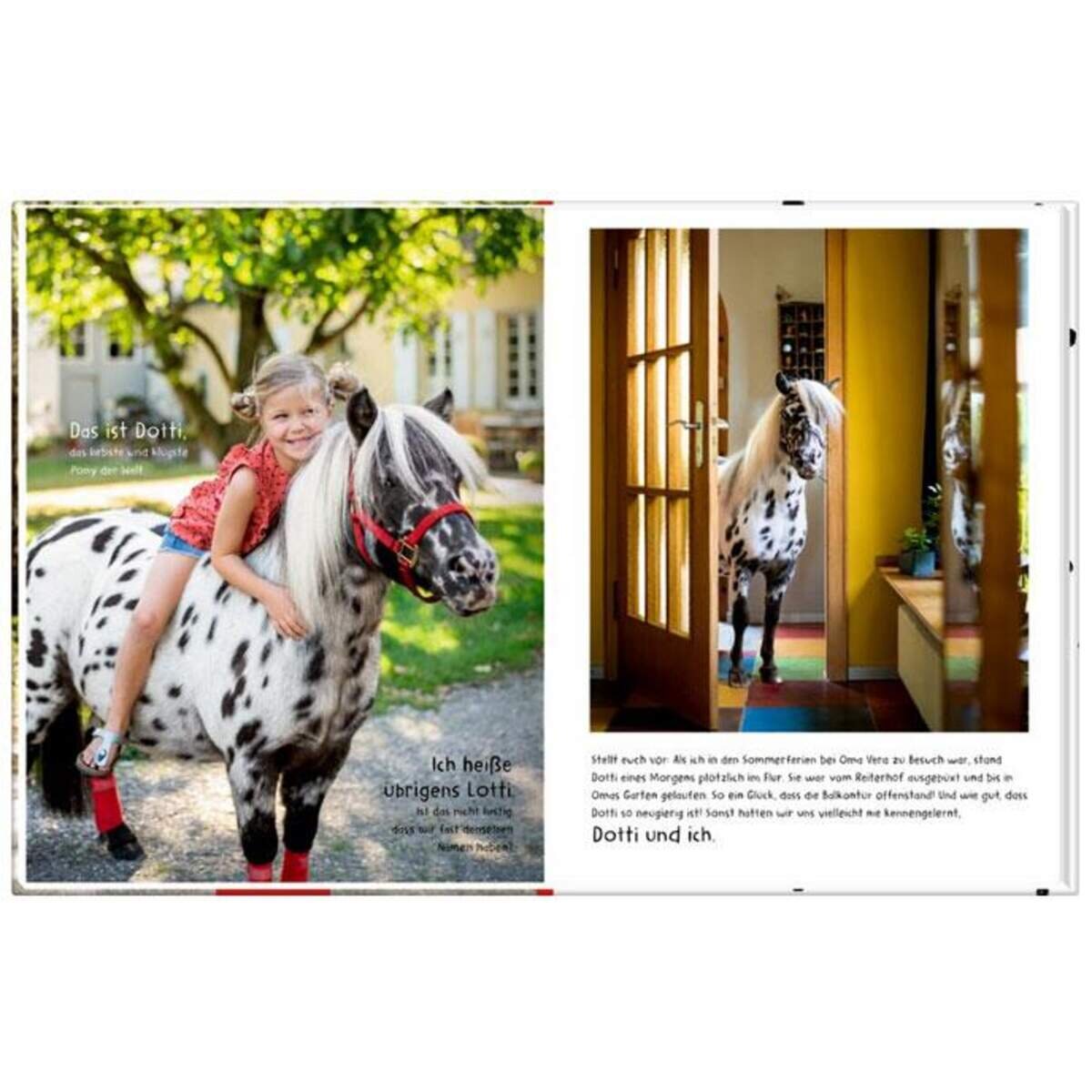 Coppenrath Verlag Lotti & Dotti (Band 2) - Das liebste Pony der Welt