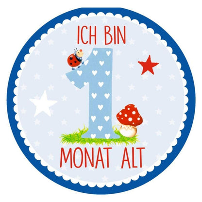 Coppenrath Verlag Meilenstein-Sticker: Babys erstes Jahr BabyGlück, blau