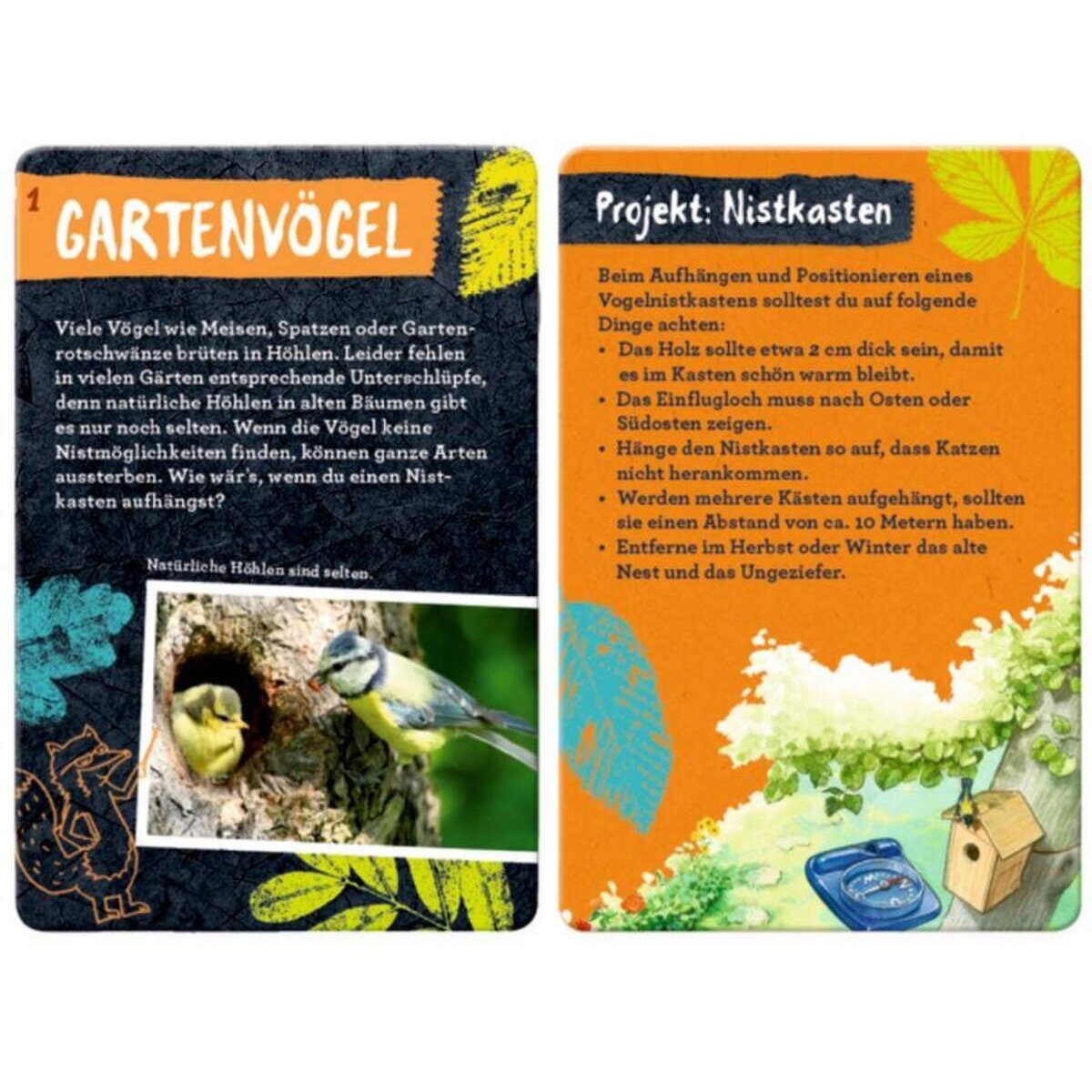 Coppenrath Verlag Nature Zoom 50 Tierschutz-Projekte