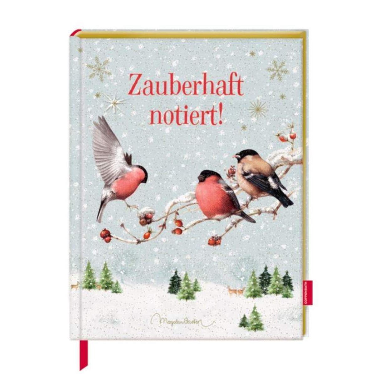 Coppenrath Verlag Notizbuch mit Glitzereinband Zauberhaft notiert!