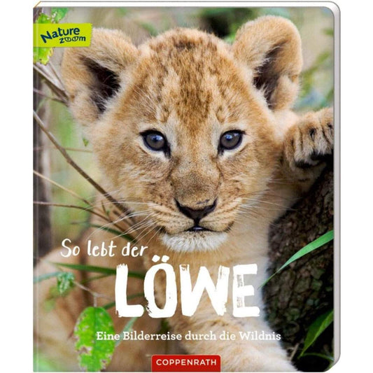 Coppenrath Verlag So lebt der Löwe - Eine Bilderreise ... (Nature Zoom)