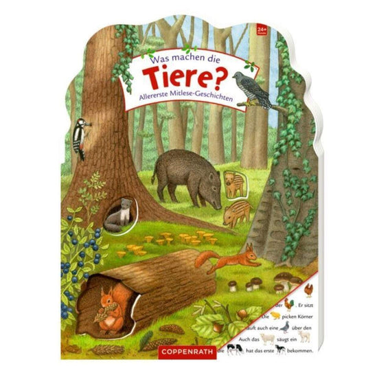 Coppenrath Verlag Was machen die Tiere? - Allererste Mitlese-Geschichten