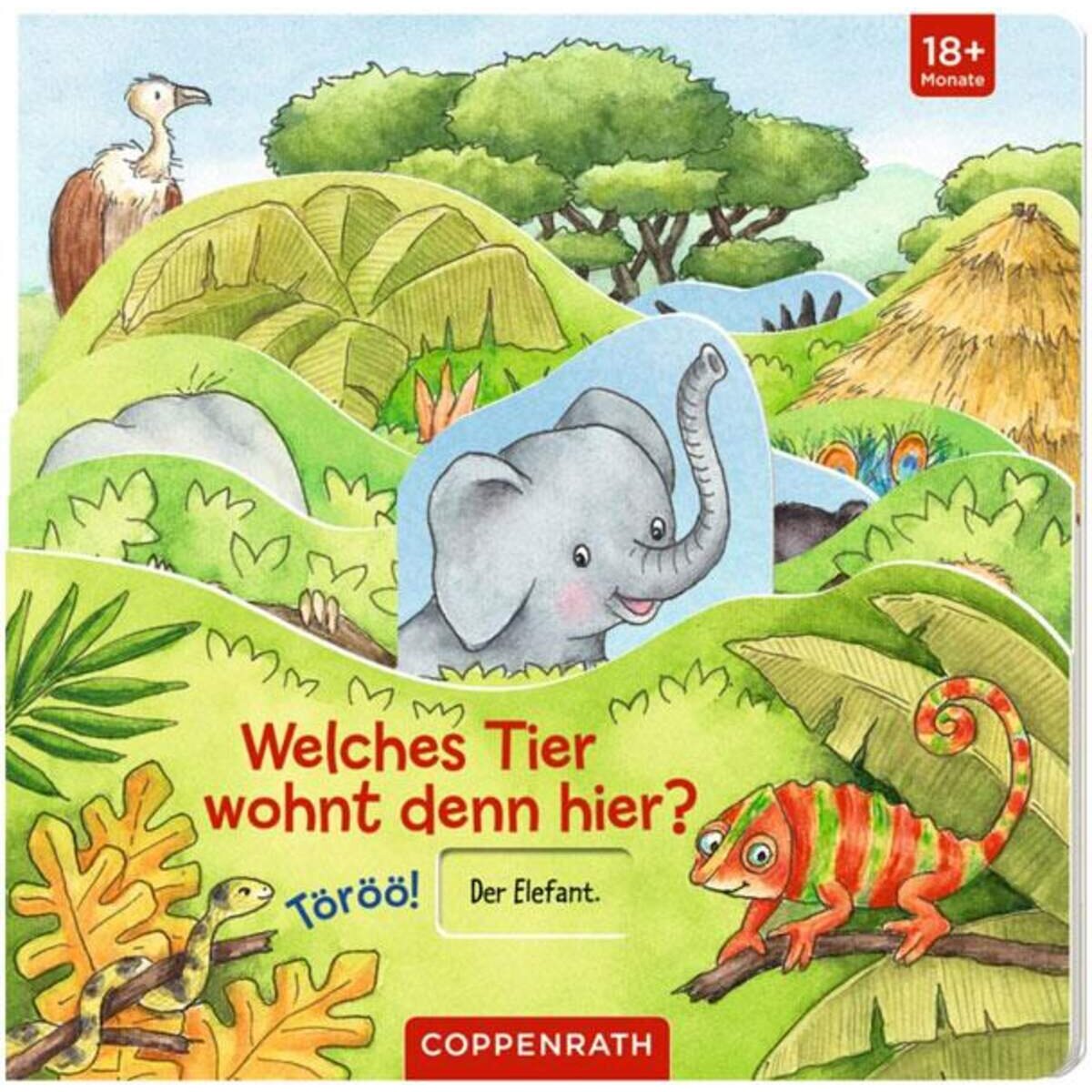 Coppenrath Verlag Welches Tier wohnt denn hier? - Töröö!