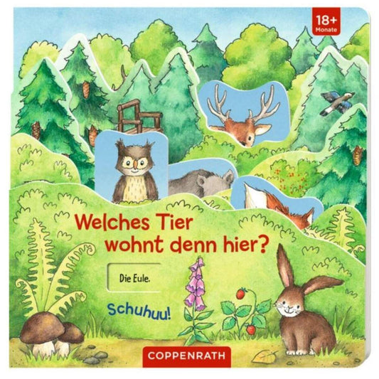 Coppenrath Verlag Welches Tier wohnt denn hier? - Schuhuu!