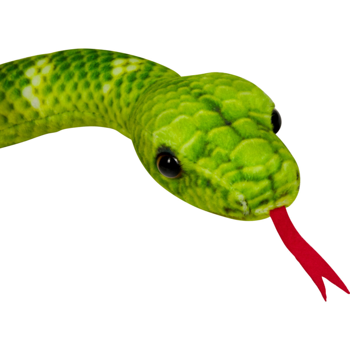 Die Spiegelburg Baumpython - Nature Zoom Wild