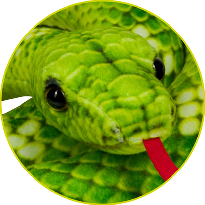 Die Spiegelburg Baumpython - Nature Zoom Wild