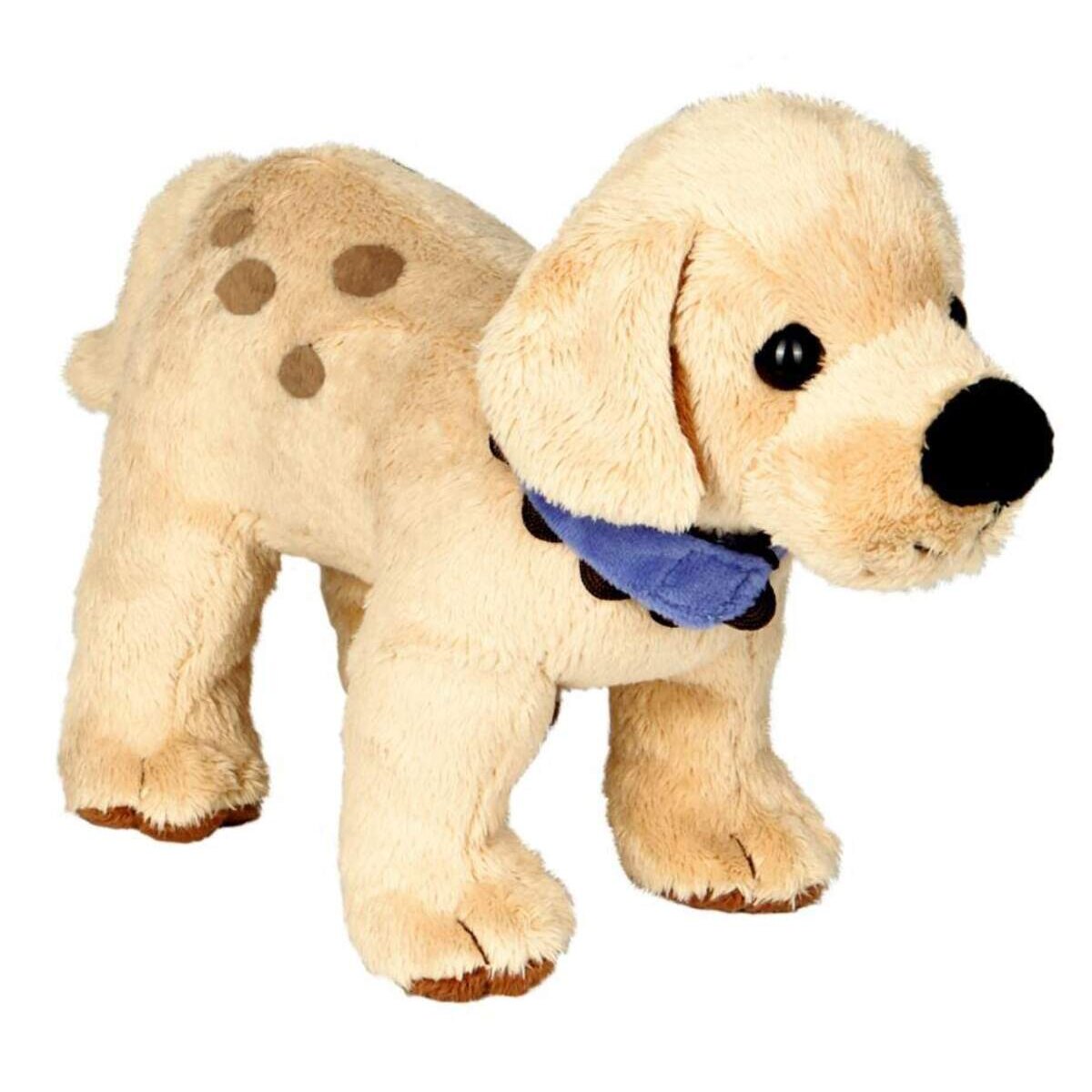Die Spiegelburg Hund Dotti