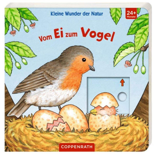 Die Spiegelburg Kleine Wunder der Natur: Vom Ei zum Vogel