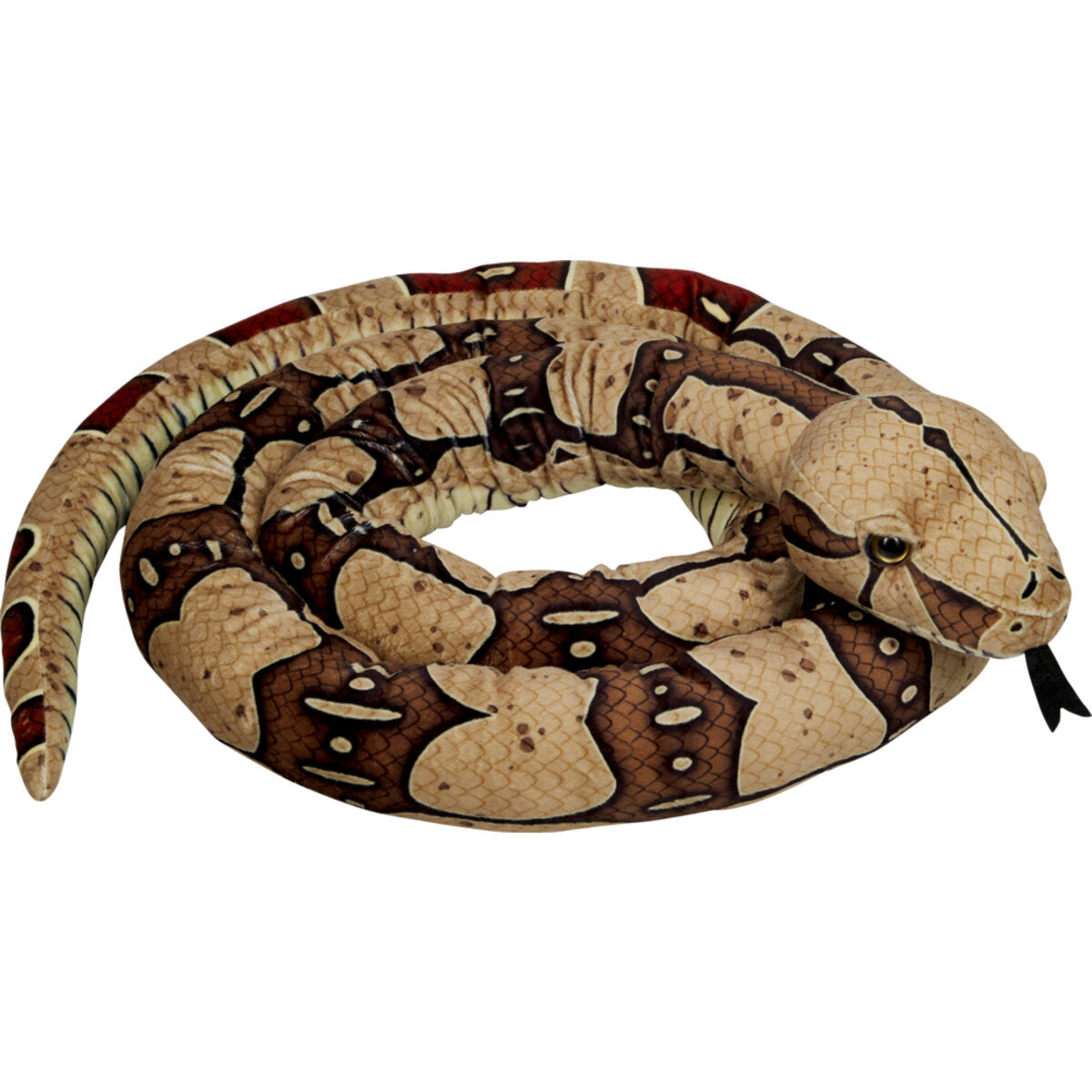 Die Spiegelburg Boa constrictor - Nature Zoom Wild