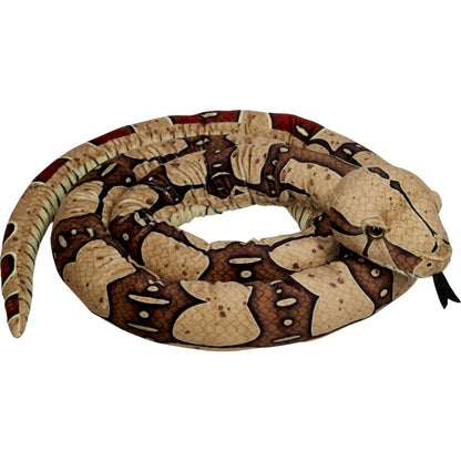 Die Spiegelburg Boa constrictor - Nature Zoom Wild