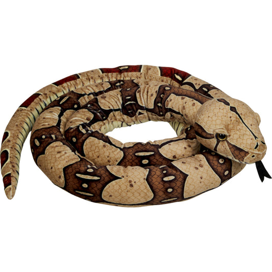 Die Spiegelburg Boa constrictor - Nature Zoom Wild