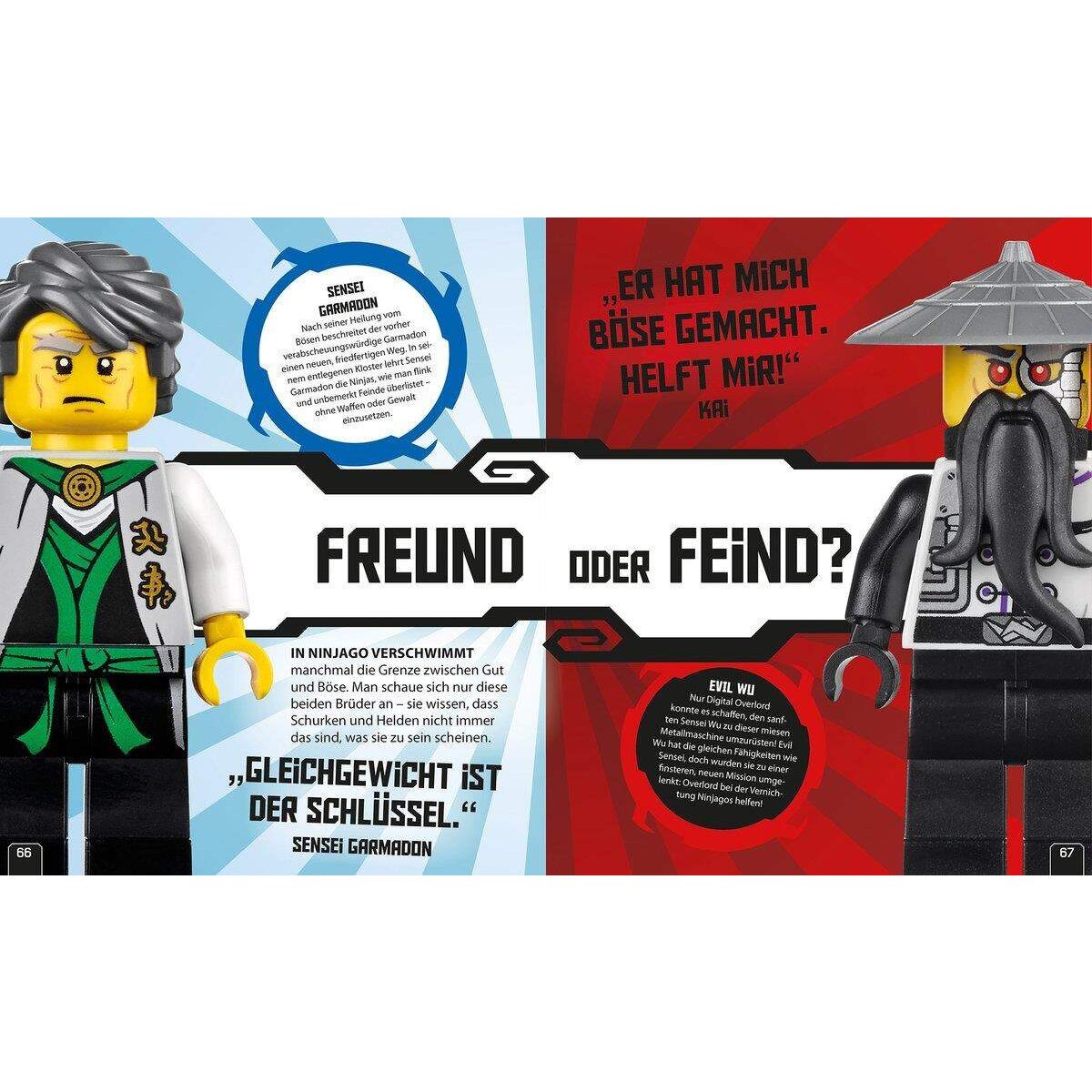 DK Verlag LEGO® NINJAGO™ Die geheime Welt der Ninjas