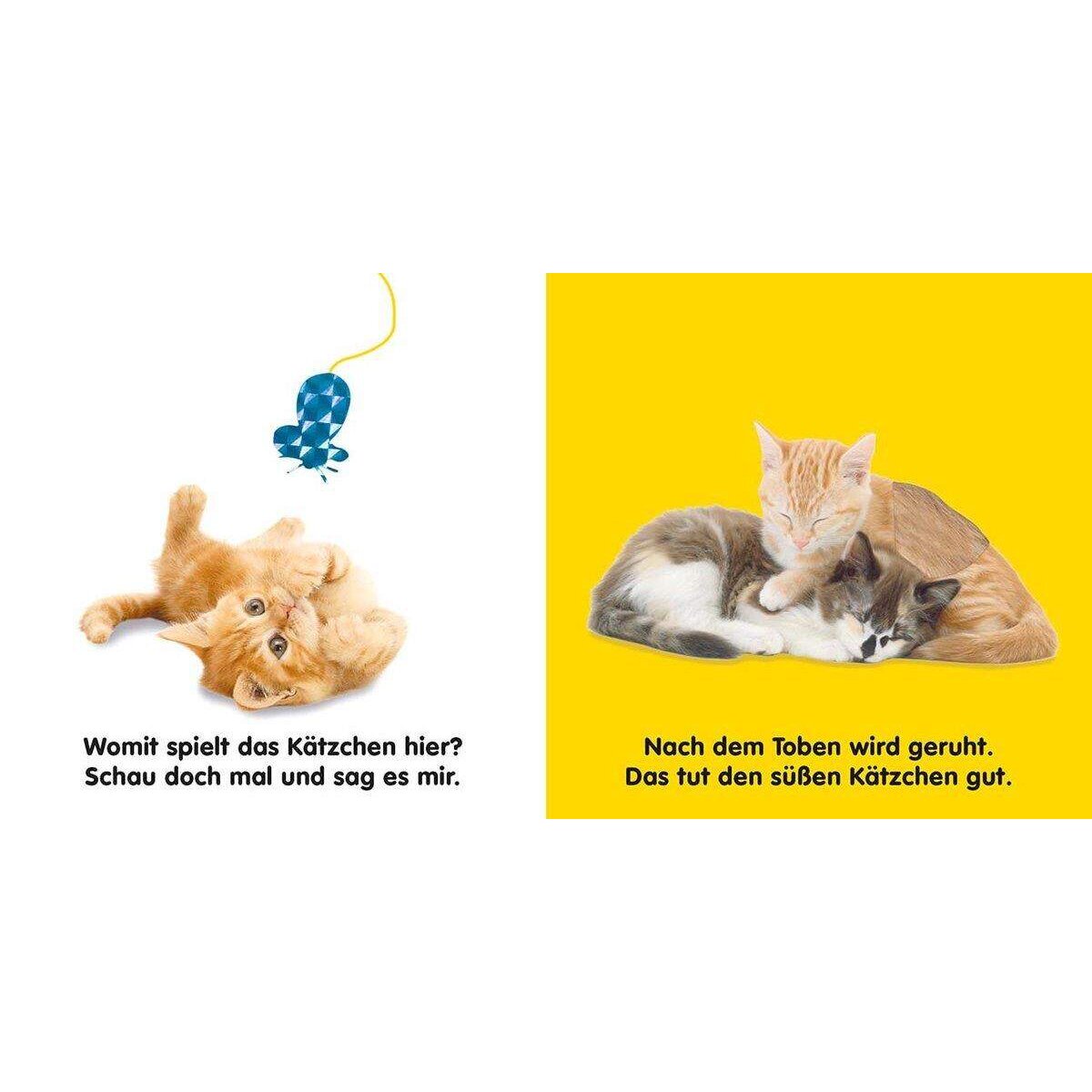 DK Verlag Mein Fühlbilderbuch - Katzen