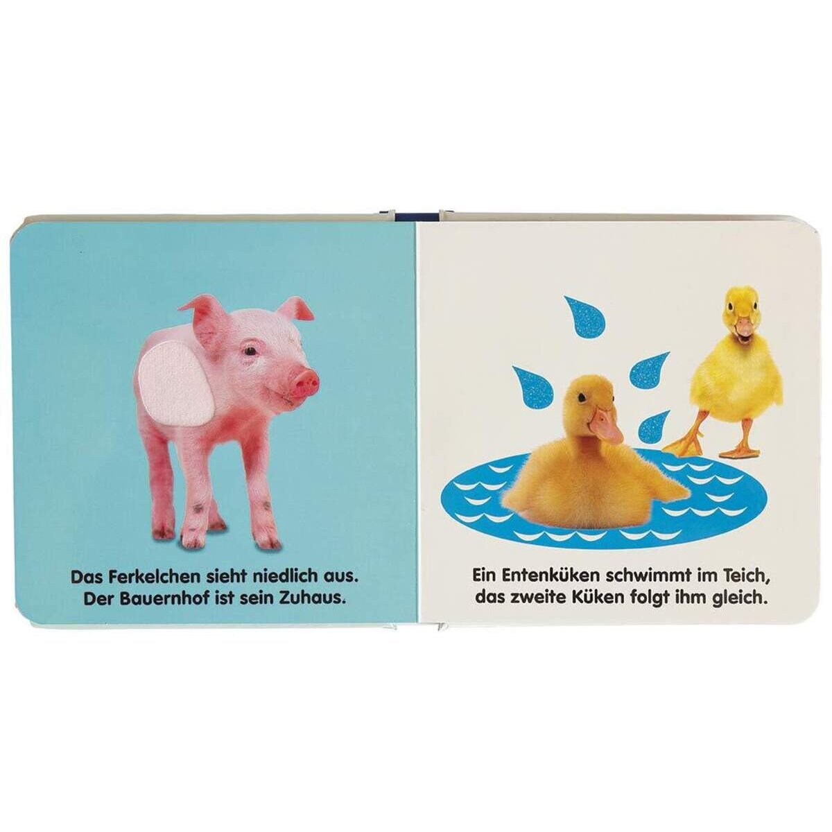DK Verlag Mein Fühlbilderbuch - Süße Tiere