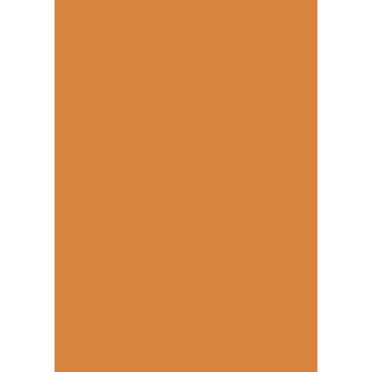 Heyda Plakatkarton 48 x 68 cm neon-orange