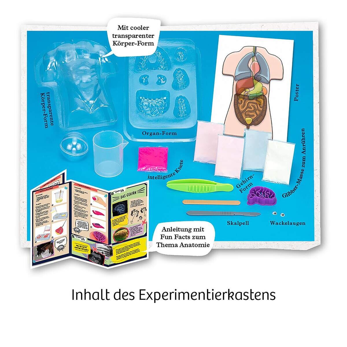 KOSMOS Fun Science Glibber-Organe