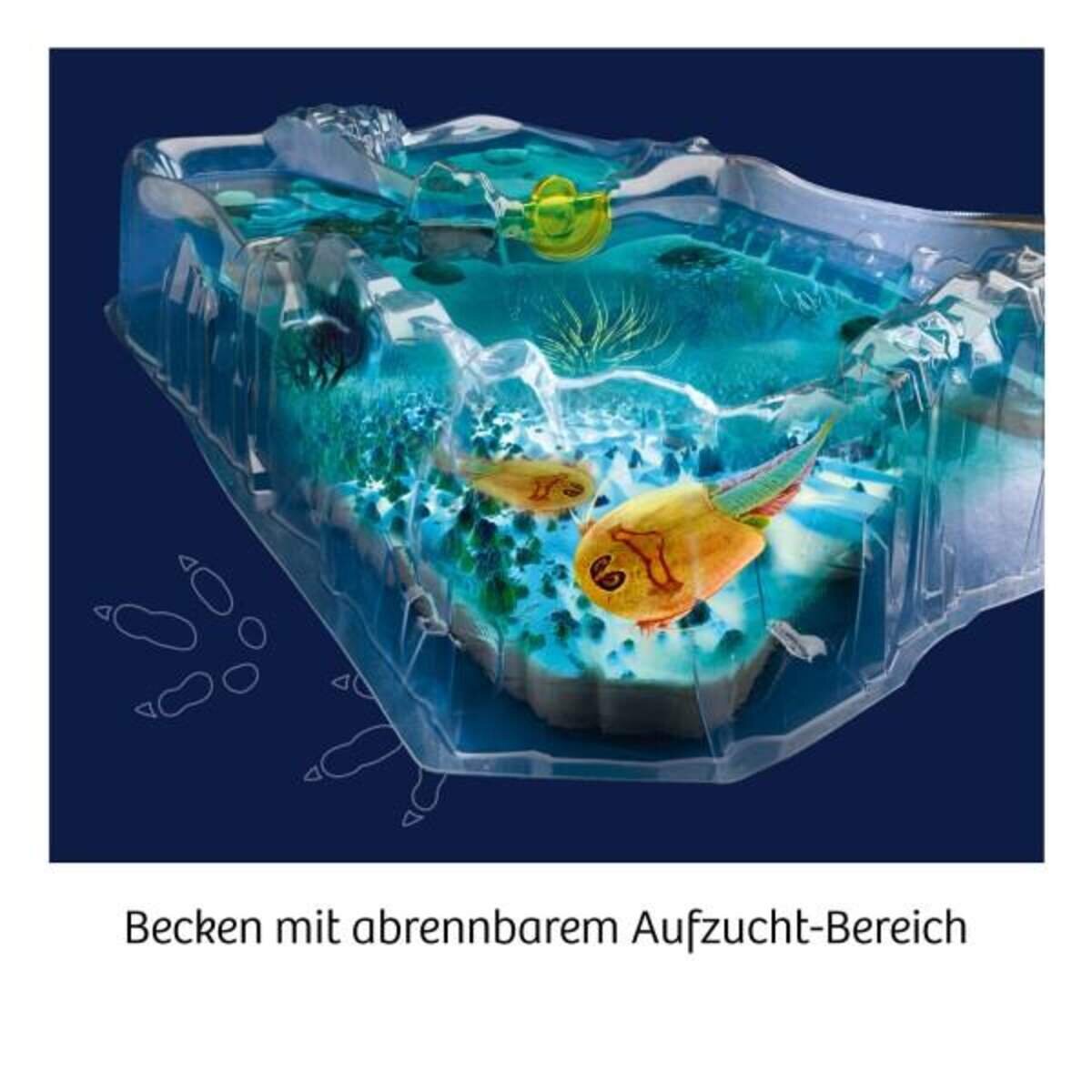 KOSMOS Fun Science Triops züchten