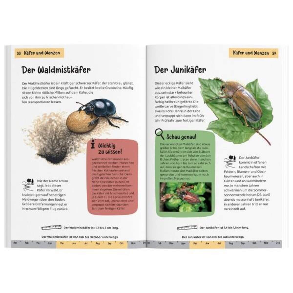 KOSMOS Kindernaturführer Was krabbelt denn da?