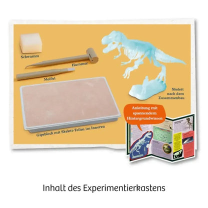 kosmos-t-rex-nachtleuchtend-ausgrabungs-7EB3F1D43.jpg